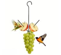 Oranges Hook Hanging Metal Bird Feeder with Fruit Holder for Garden Patios Use Feeding Station for Outdoor Use Metal Bird Feeder