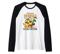 Oranges organiques juteuses douces Redlands Californie Manche Raglan