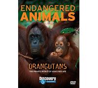 Orangutans: Endangered Animals [DVD]