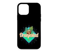 Oranjestad Aruba Retro Vacances Vintage Souvenir Caraïbes Coque pour iPhone 12 Mini