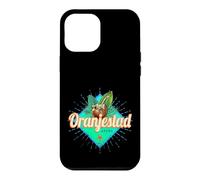 Oranjestad Aruba Retro Vacances Vintage Souvenir Caraïbes Coque pour iPhone 12 Pro Max