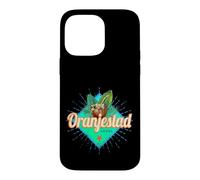 Oranjestad Aruba Retro Vacances Vintage Souvenir Caraïbes Coque pour iPhone 14 Pro Max