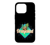 Oranjestad Aruba Retro Vacances Vintage Souvenir Caraïbes Coque pour iPhone 16 Pro