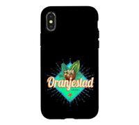 Oranjestad Aruba Retro Vacances Vintage Souvenir Caraïbes Coque pour iPhone X/XS