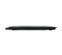 Orbegozo Balance Pb 2231