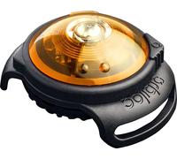 Orbiloc, lumière de sécurité pour colliers de chiens