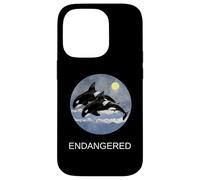 Orca Whale Chemise en Danger Baleine Orque du Sud Coque pour iPhone 14 Pro