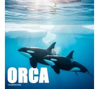 Orcas 2026 Calendar: Marine Wildlife Photography of Majestic Killer Whales