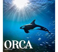 Orcas Calendar 2026: Stunning Photography of Majestic Killer Whales in the Wild