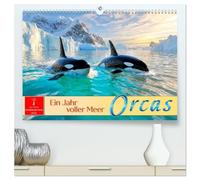 Orcas - ein Jahr voller Meer (hochwertiger Premium Wandkalender 2026 DIN A2 quer), Kunstdruck in Hochglanz: Einzigartige Momente - Orcas in ihrer wahren Heimat.