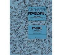 Orchester-Probespiel Pauke / Schlagzeug