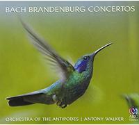 Orchestra of the Ant - Bach: Brandenburg Concertos [Import]