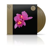 Orchid