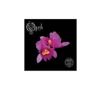 Orchid – Universal Music Group