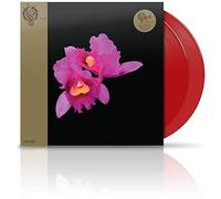 Orchid
