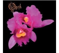 Orchid – Universal Music Group