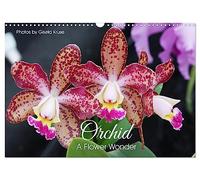 Orchid - A Flower Wonder (Wall Calendar 2026 DIN A3 landscape), CALVENDO 12 Month Wall Calendar: Fascinating flowers with immense variety