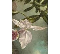 Orchid Blossoms Notebook: 6 X 4 In (15.2 X 22.9 Cm) Art Cover Journal, 100 Blank Lined White Pages