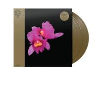 Orchid
