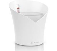 Orchidea - 18x18x20 cm - kit complet, blanc mat NOIR G