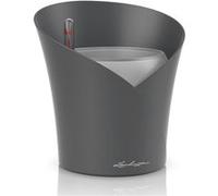 Lechuza - Pot pour Orchidée - Orchidea - Réserve d'Eau Intégrée - Coloris Gris Ardoise - 18 x 18 x 20 cm