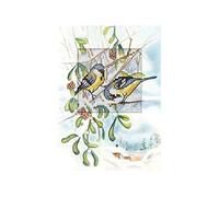 Orchidea kit carte au point de croix - mésanges bleues sur gui