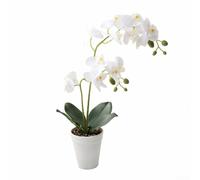 Orchidée artificielle à deux tiges pour apaiser l'attrait visuel dans les salles de méditation, les studios de yoga, les centres de bien-être et les zones de relaxation (blanc)