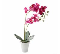 Orchidée artificielle à deux tiges pour apaiser l'attrait visuel dans les salles de méditation, les studios de yoga, les centres de bien-être et les zones de relaxation (violet)