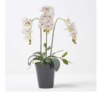 Orchidée artificielle blanche en pot en céramique noir 56 cm