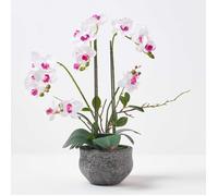 Orchidée artificielle blanche en pot en ciment gris 52 cm