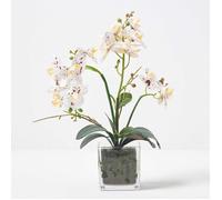 Orchidée artificielle blanche en pot en verre 42 cm