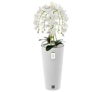 Orchidée artificielle - BOTLE - Blanc - 110 cm - Fleurs réalistes - Entretien facile