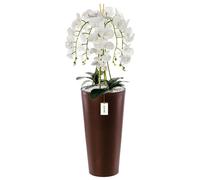 Orchidée artificielle - BOTLE - H 110 cm - Fleurs blanches - Pot en plastique - Entretien facile