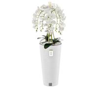 Orchidée artificielle - BOTLE - H 110 cm - Fleurs blanches - Pot moderne - Entretien facile