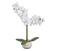 Orchidée artificielle "Clera" - Atmosphera créateur d'intérieur