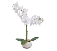 Atmosphera – Orchidée artificielle en pot Clera 52 cm Blanc G