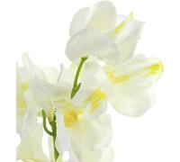 Orchidée artificielle crème fleur décorative 50cm - trompeuse, lot de 6