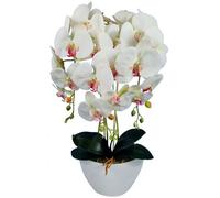 Orchidée artificielle - Damich - Blanche - Cœur rose - 3 tiges - 3pgb2