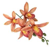Orchidée artificielle d'Asie de l'Est formée à partir d'EVA pour décoration de table d'invités de mariage, décoration de salle à manger et image marketing numérique (I)