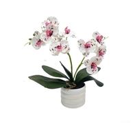 Orchidée artificielle décorative dans un vase pour améliorer sans effort la maison et le bureau (violet et blanc)