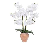 Atmosphera Créateur d'intérieur - Orchidée Artificielle en Pot "Dena" 65cm Blanc Blanc G