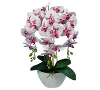 Orchidée artificielle en pot de fleurs Damich Plante Fleur artificielle 3 branches Hauteur env. 60cm (Blanc/Rouge)