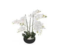 Orchidée artificielle en pot - H 65 cm - Blanc