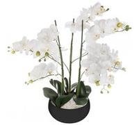 Atmosphera Orchidée artificielle en pot H 65 cm Blanc