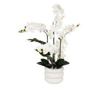Atmosphera - Orchidée Artificielle en Pot Mick Pot en céramique Blanc h80cm