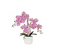 Orchidée artificielle - LIGNE DECO - Fuchsia mouchetée - 50 cm - Élégante - Sans entretien