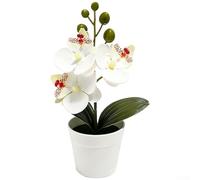 Orchidée artificielle Phalaenopsis 19 cm Toucher réel Blanc | Design réaliste à trois fleurs, texture en gel doux, matériau en film, 19 cm de hauteur, pas besoin d'arrosage