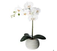 Orchidée artificielle pot ciment H53cm - Atmosphera createur d'interieur