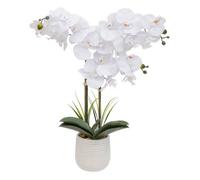 Atmosphera Orchidée artificielle Riva H60 cm blanche