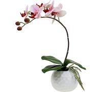 Orchidée artificielle rose dans pot moderne en céramique 31cm, décoration, fleur en soie, Phalaenopsis, fleurit toute l'année